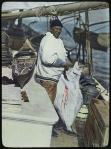 Image: Broomfield With Halibut